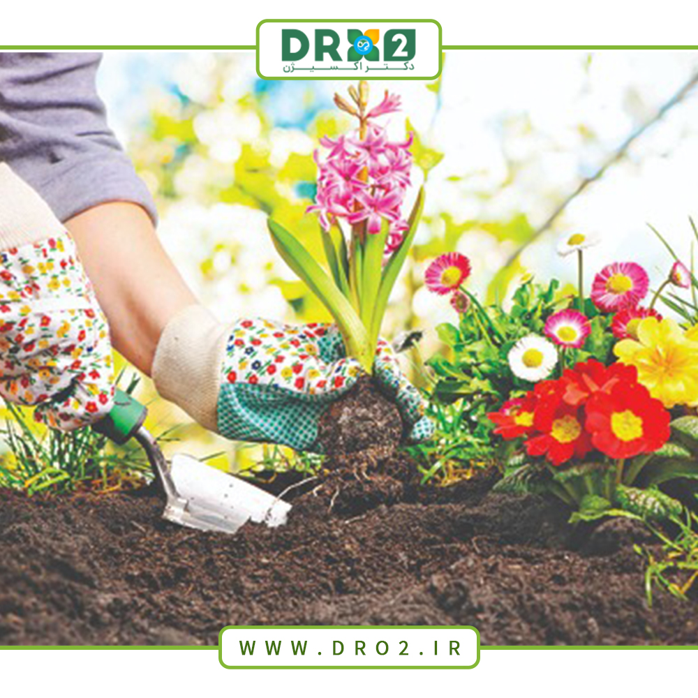 نکاتی برای آماده سازی باغچه خود برای فصل بهار_دکتر اکسیژن