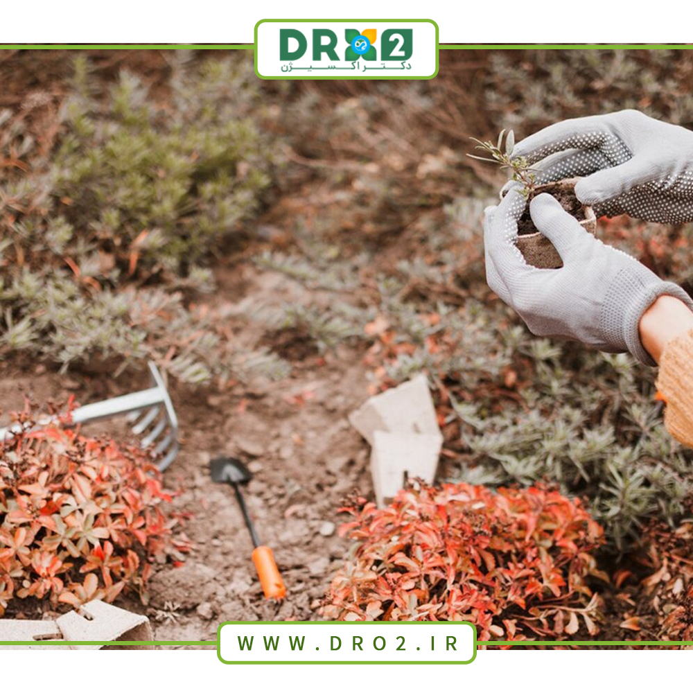نکاتی برای آماده سازی باغچه خود برای فصل بهار_دکتر اکسیژن